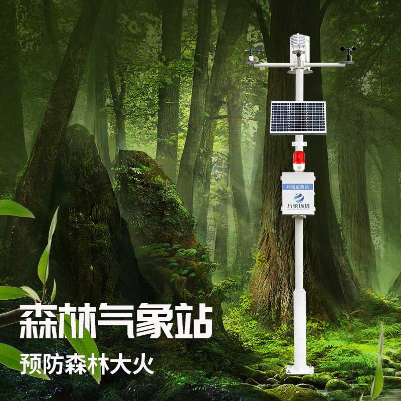 森林防火監(jiān)測(cè)系統(tǒng)為保護(hù)森林做了哪些努力？